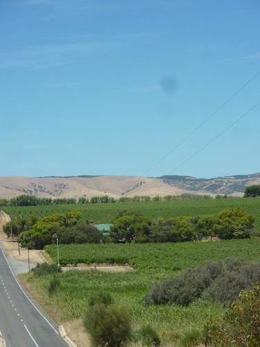 Amande Bed And Breakfast Mclaren Vale Bagian luar foto
